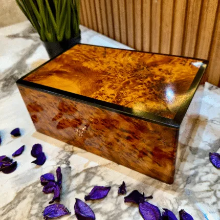 watch box