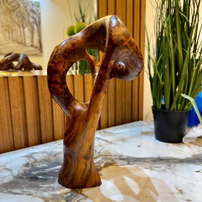 Rustic Abstract wood decor Sculpture – Luxury Jewelry Wooden Box